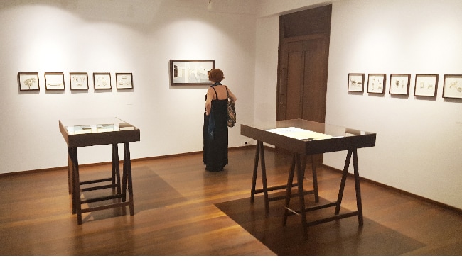 Vue de l'exposition Vishra Shroff à Tarq art gallery